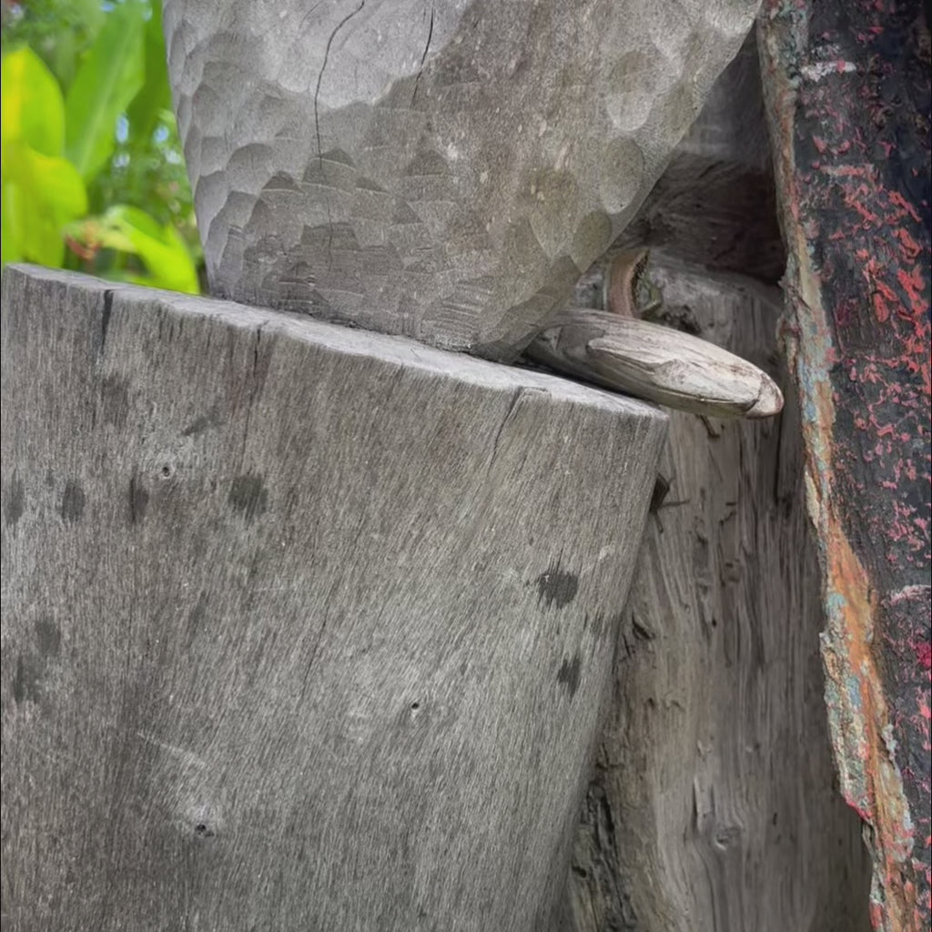 Forest Guardian (Owl)