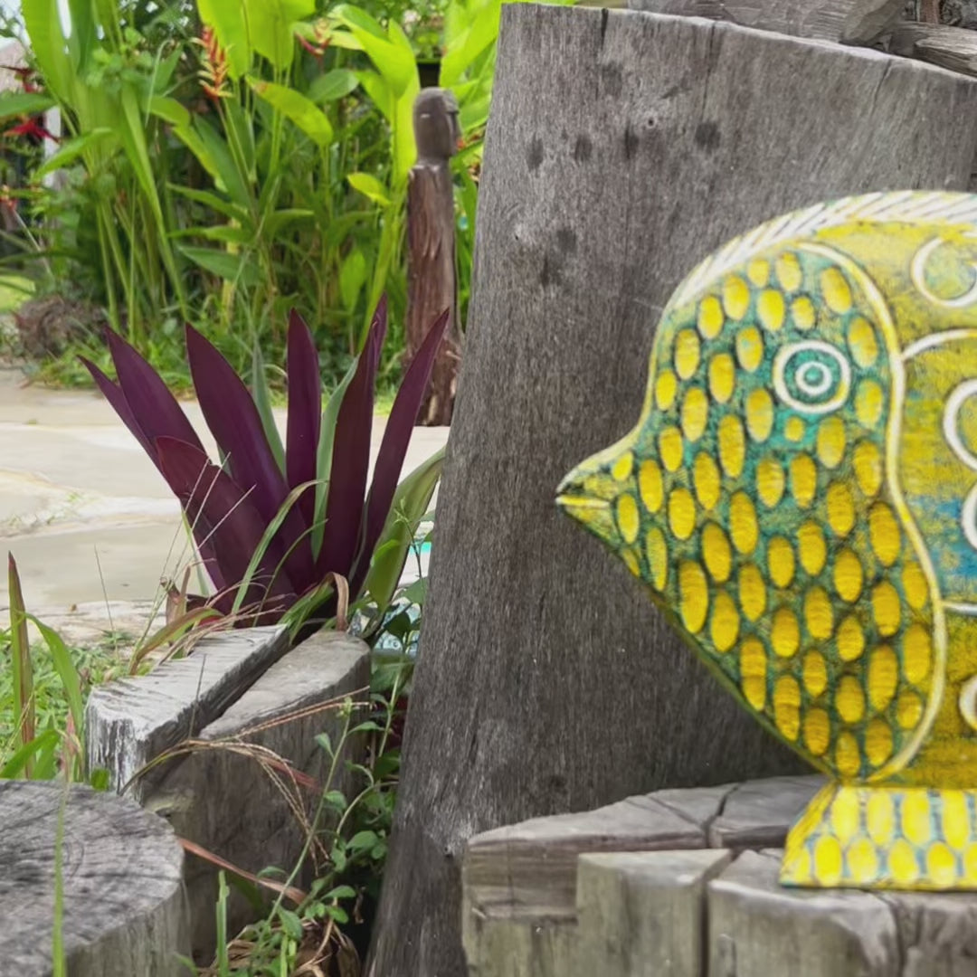 Grace of the Sea (Angelfish)